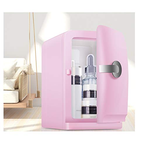 NXYJD Car Refrigerator Compact, Electric Reefer 5l Portable Mini Fridge Cosmetic Food Heating the Cooling Cooler