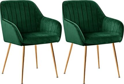 CHUN YI Adjustable height for Durable Chrome Stool Legs Armrests to lean on Ergonomic Design with High Density Foam Cushions Dining Chairs(2,Gree