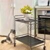 FEER Kitchen IslandsFurniture Mobile Table Wine Dining Car Designer Golden Glass Storage Trolley (Color : D, Size : 1pcs)