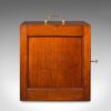 Antique Calligrapher's Case, English, Specimen, Collector's Cabinet, Victorian