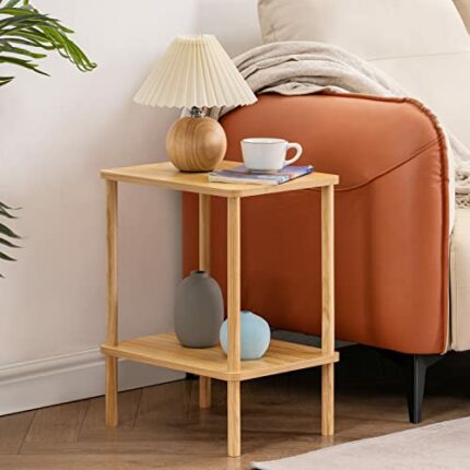 APICIZON 2 Tier Side Table, Narrow End Table with Storage Shelf, Bedside Table Nightstand for Small Spaces, Bedroom, Living Room, Entryway, Farmh