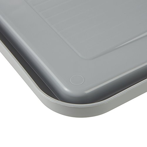 keeeper Lid for Robert 20 L Transport Box, 40 x 30 cm, Roberta, Light Grey
