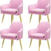 dining chair Office Business Reception Chairs Conference Chairs Desk Chair Set of 4 Lazy Makeup Stool Furniture Hotel Nail Shop Sofa Chair Nordic