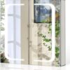 TMEE Bathroom Mirror Cabinet with Illuminated Light and Shaver Socket, Make Up Storage with Adjustable Shelf and Demister Pad, Aluminum Alloy Led