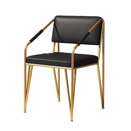 LEIGE Kitchen Dinning Chair Lounge Room Dining Chairs Arm Comfortable House Accessories Living Room Chair