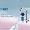 BWT PREMCART Filter, Polypropylene, White