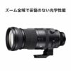 150-600mm F5/-6.3 DG DN for L-Mount