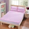 FKSDHDG Cold Mattress Net Cool Feeling Mattress Summer Air Conditioning Mat Machine Washable Washing Mat Mat (Color : D, Size : 200 * 220CM)