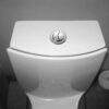 Rosenice 114mm Silver Dual Flush Toilet Water Tank Push Buttons Rods