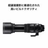 150-600mm F5/-6.3 DG DN for L-Mount