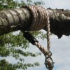 Tree Swing Conversion Ropes Complete Kit with Galvanised Steel Fixings Choice of 2 Lengths (5.5m Single Rope)