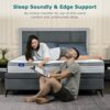 SuiLong King Size Mattress with Better Edge Support. 20cm 5ft Memory Foam Mattress & Soft Touch Sleep Surface. 5 Zone Spring Hybrid Mattress in a