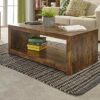 GFW Coffee Table with Storage Shelf for Display, Use for Living Room, Entertainment, Media Accessories & Books, Mango Wood, Engineered, Gold, W10