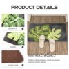 Alipis Door Floor Mat for Indoor Outdoor, 60 x 40cm Non-slip Front Door Mat with Fresh Leaves Pattern, Absorbent Bathroom Mats Washable Rug Entra