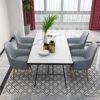 dining chair Office Business Reception Chairs Conference Chairs Desk Chair Set of 4 Lazy Makeup Stool Furniture Hotel Nail Shop Sofa Chair Nordic