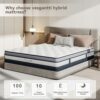Vesgantti 4FT Small Double Mattress, 11 Inch Pocket Sprung Mattress Small Double with Breathable Foam and Individually Pocket Spring - Medium, Lu