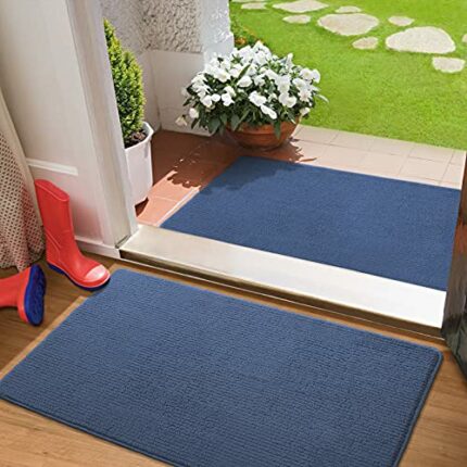 Color G 2 Pack Door Mat for Indoor Outdoor - 50 x 80 cm Dirt Trapper Entrance Doormats, Non-slip, Absorbent, Machine Washable Front Door Mat Carp