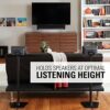 Sanus Wireless Sonos Speaker Stand for Sonos One, Play:1, Play:3 - Audio-Enhancing Design with Built-in Cable Management - Pair (Black) - WSS22-B