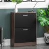Vida Designs 2 Drawer Shoe Cabinet Cupboard Shoe Storage Organiser Pull Down Wooden Hallway Furniture Unit, Pine