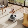 solaround Acrylic Nightstand Colorful Bedside Table with Open Storage Shelf,Clear Side Table for Living Room (1, Clear)