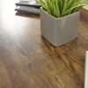 GFW Coffee Table with Storage Shelf for Display, Use for Living Room, Entertainment, Media Accessories & Books, Mango Wood, Engineered, Gold, W10