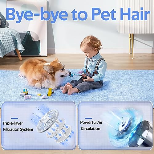 HTONVK Tumble Dryer for Clothes, 8.8 lbs Capacity Wall-Mounted Compact Laundry Dryer with LCD Display and Stainless Steel Drum, Electric Dryer Ma