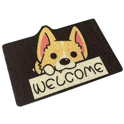 Lomgwumy Welcome Mat, Durable Indoor Door Mat, Stylish Cartoon Design, Non-slip, Soft and Elastic, 19.7" x 31.5", Door Mats Are Suitable for Outd