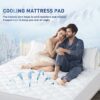 Sunflower Cooling Quilted Twin XL Mattress Protector, Mattress Pad Twinxl Chill Soft, College Dorm Twinxl Mattress Cover Waterproof, 18-22" Extra