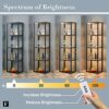 FENLO Fantasy Plus 66" Luxury Glass Display Shelf with Dimmable LED Floor Lamps, Sturdy Glass Shelves For Bedroom, Curio Cabinet with Glass Books