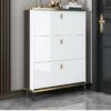 TJLSS Household Furniture Shoe Cabinet Dormitory Hallway Entrance Shoe Rack Apartment Hotel Storage Rack Shoe Rack (Color : D, Size : 100 * 17 *