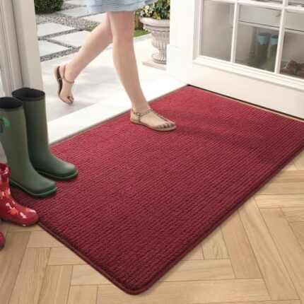 Color G Door Mat 80 X 120 cm, Doormat Dirt Trapper Non-slip, Machine Washable, Soft, Absorbent Entrance Rug Floor Mat for Entryway, Patio, Hallwa