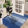 Vaukki Indoor Doormat Entryway Door Rug, Non Slip Absorbent Mud Trapper Mats, Low-Profile Inside Floor Mats, Soft Machine Washable Small Rugs Doo