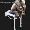 CHEWO Bath Stools,Shower Stool Shower Stool Bath Stool Bathroom Seat Folding Wall-Mounted Antibacterial Mobile Auxiliary Stool Shower Seat Bathro