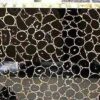 Gifts And Artefacts 42 x 72 Inches Rectangle Shape Black Dining Table Top Epoxy Art with Agate Stone Kitchen Slab to add Elegant Touch in your Li