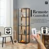 FENLO Fantasy Plus 66" Luxury Glass Display Shelf with Dimmable LED Floor Lamps, Sturdy Glass Shelves For Bedroom, Curio Cabinet with Glass Books
