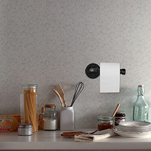 Industrial Black Toilet Paper Holder and Towel Ring, Bathroom Hardware Set, Wall Mounted Hardware Accessories, Includes Pipe Towel Rack Towel Rin