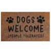 AIJUZIJIE Carpet Welcome Mat Funny Letter Entryway Doormat Non Slip Floor Rug Decor For Front Door Style2