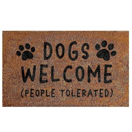 AIJUZIJIE Carpet Welcome Mat Funny Letter Entryway Doormat Non Slip Floor Rug Decor For Front Door Style2