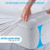 PlushDeluxe Bamboo Mattress Protector Waterproof, Hypoallergenic & Ultra Soft Breathable Cover & Protection - Free PVC, Phthalate (Double Size)