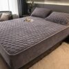 FKSDHDG Thick Quilted Mattress Cover Winter Plush Double Bed Fitted Sheets Sheet Pad Cover (Color : Argento, Size : 90x200x30cm)