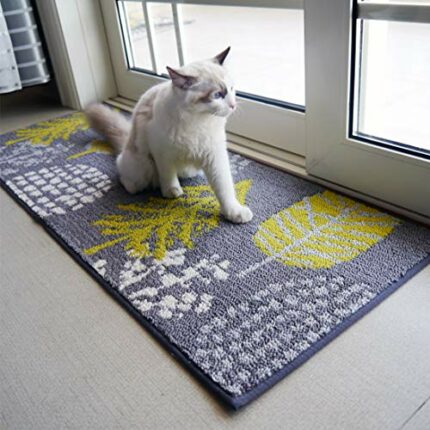 morgantag Outdoor Mats for Front Door 17.5 x27.5,Cat Mats for Front Door, Non-Slip Absorbent Dirt Trapper Mat,Low-Profile Small Mat for Home Entr