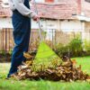 Colwelt Plastic Leaf Rake, Garden Lawn Rake with 142cm Lightweight Stainless Steel Handle, Include 22Tines Plastic Head & Garden Gloves, Garden R