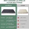 ZIKEBTUY Floor Mattress Japanese Futon King Mattress Topper - 10cm Thick Foldable Tatami Mat Sleeping Bed Pad for Guests, Dormitories, Camping, S