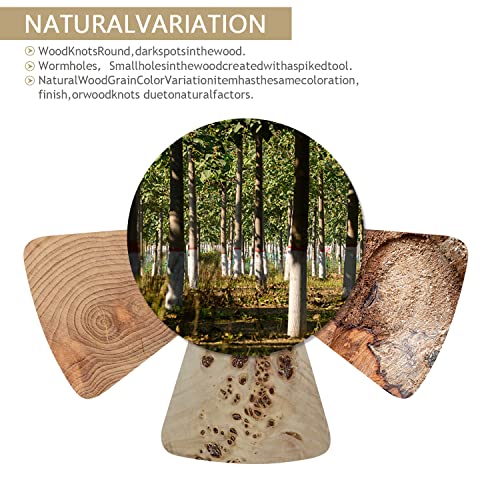 Uziass Wooden Stool for Tree Stump,Coffee Table,Side Table Made in Solid,Plant Stool wiht Natural Solid Wood For Indoor living rooms and Bedrooms