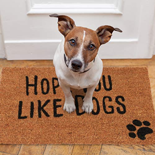 Relaxdays Doormat with Slogan, Hope You Like Dogs, Animal Theme, Coconut Fibres, Outdoors, Indoors, Welcome Mat 40x60cm, Natural, Coir, Standard