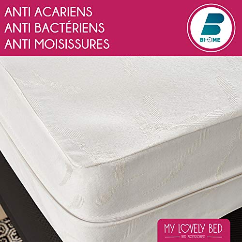 My Lovely Bed Mattress Protector - 90 x 190 x 200 cm - Anti Dust Mite Cover - Economical and Practical - Cotton Fabric - Zip Closure
