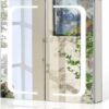 TMEE Bathroom Mirror Cabinet with LED Lights and Shaver Socket, Cosmetic Storage with Adjustable Shelf and Demister, 2 Doors, 630 W x 650mm H Ill