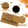 YBB Hey There Pumpkin Doormat, 17 x 29 Inch Imitation Coir Front Porch Rug Autumn Fall Thanksgiving Halloween Doormat Indoor Outdoor with Non Sli
