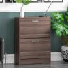 Vida Designs 2 Drawer Shoe Cabinet Cupboard Shoe Storage Organiser Pull Down Wooden Hallway Furniture Unit, Pine