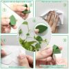Woohome 60 Pcs Woohome 60 Pcs PlanWoohome 60 Pcs Plant Climbing Wall Fixture Clips Plant Fixer Invisible Wall Vines Fixing Clips Self-Adhesive Ho